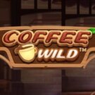 Coffee Wild