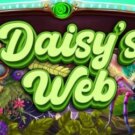 Daisy’s Web