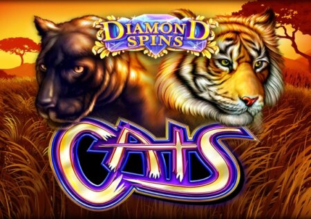 Diamond Spins Cats