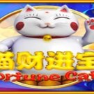 Fortune Cats