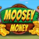 Moosey Money