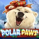 Polar Paws