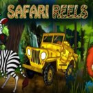 Safari Reels