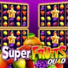 Super Fruits Quad