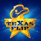 Texas Flip