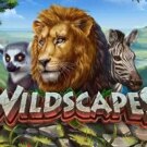 Wildscapes