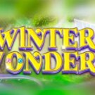 Winter Wonders